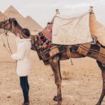 All Inclusive Giza Pyramids and Grand egyptian museum & Shopping - Experience Breakdown: What to Expect from the Tour