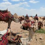 All inclusive Giza Pyramids ,Sphinx ,Lunch ,Camel&Inside pyramid - The Pyramids and Sphinx: A Glimpse into 4500 BC