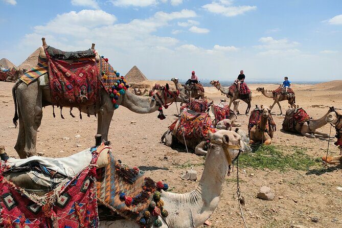 All inclusive Giza Pyramids ,Sphinx ,Lunch ,Camel&Inside pyramid - The Pyramids and Sphinx: A Glimpse into 4500 BC