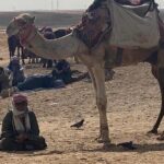 all inclusive Giza pyramids & the grand Egyptian museum - Lunch and Additional Comforts
