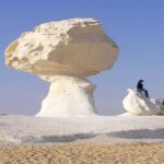 All inclusive Overnight trip to Bahariya Oasis with White Desert - What’s Included and What to Keep in Mind