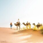 All inclusive: Private 2 Days Sahara desert tour from Marrakech - What Makes This Tour Stand Out?
