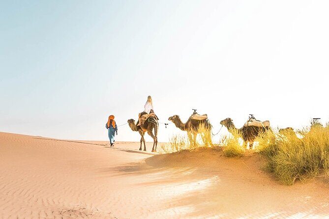 All inclusive: Private 2 Days Sahara desert tour from Marrakech - What Makes This Tour Stand Out?