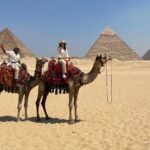 All Inclusive Private Half Tour to Giza Pyramids Camel Ride Lunch Entrance fees - The Convenience of Private Transportation and Pickup