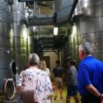 All-inclusive Private Wine Tour in Stellenbosch Cape Winelands - Why You’ll Love This Wine Tour
