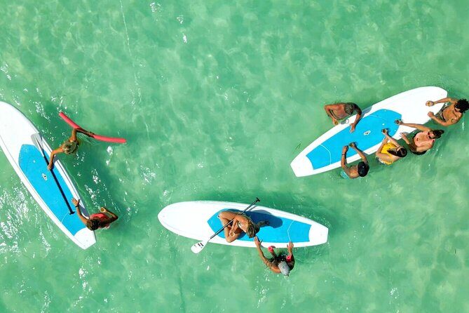 All-Inclusive Sandbar Safari with Dolphin Playground Encounter - Final Thoughts