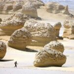 Allinclusive Private Tour Fayoum Oasis & Valley of Wales - An In-Depth Look at the Fayoum Oasis & Valley of the Whales Tour