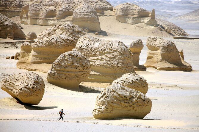 Allinclusive Private Tour Fayoum Oasis & Valley of Wales - An In-Depth Look at the Fayoum Oasis & Valley of the Whales Tour