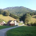 Alp Mountains Tour - Authentic Experiences: What Reviewers Say