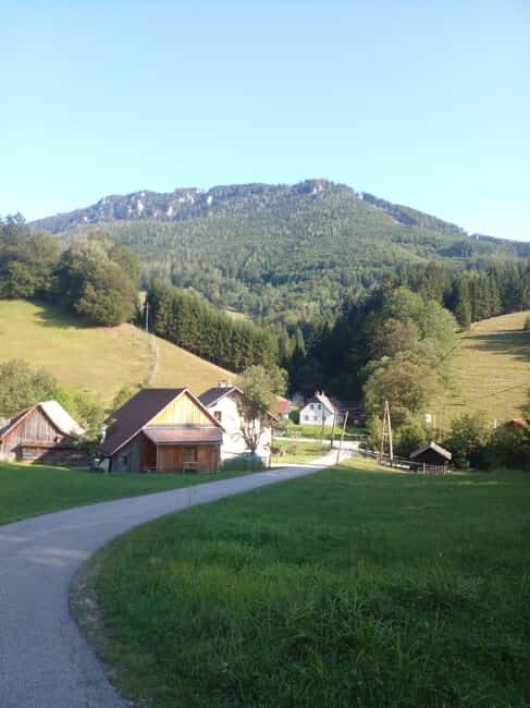 Alp Mountains Tour - Authentic Experiences: What Reviewers Say