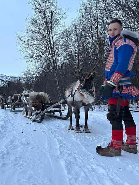 Alta: Reindeer Ride - FAQs