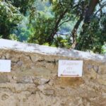 Amalfi Coast: Hike Along the Path of the Lemons - The Practical Side: Details & Value