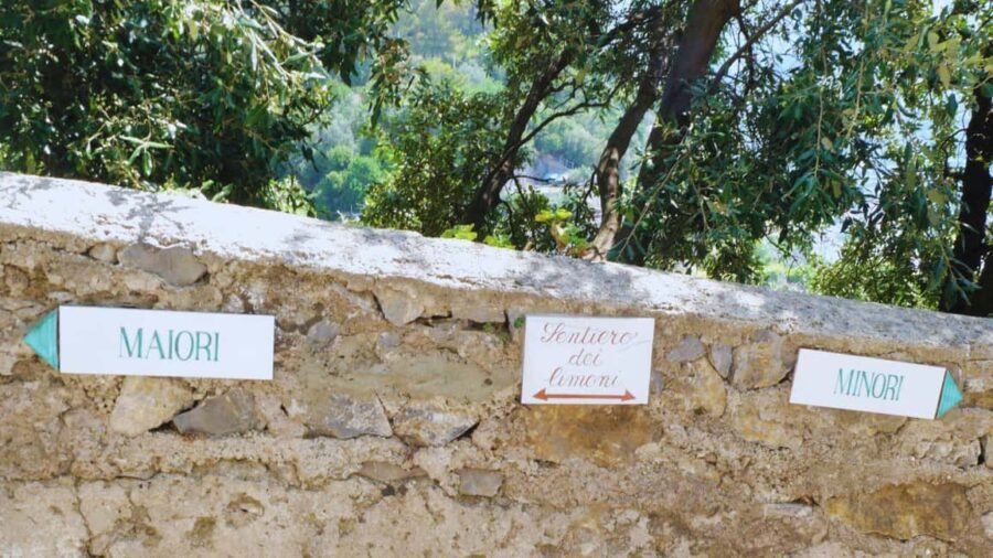 Amalfi Coast: Hike Along the Path of the Lemons - The Practical Side: Details & Value