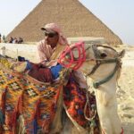 Amazing Day tour to Giza Pyramids and sakkara from Cairo - In-Depth Review of the Tour Experience