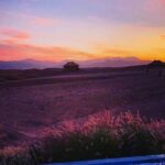 Amazing Dinner in Agafay Desert with Sunset and Berber Camp - Dining in True Berber Style