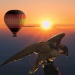 Amazing Hot Air Balloon With Beautiful Desert Sunrise View - Authentic Insights from Reviewers