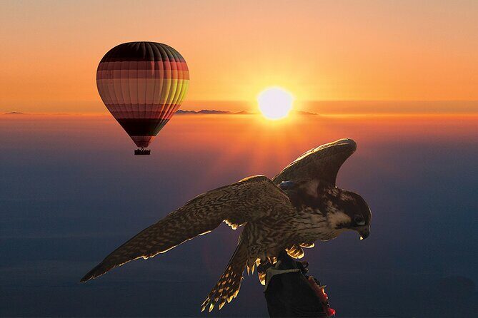 Amazing Hot Air Balloon With Beautiful Desert Sunrise View - Authentic Insights from Reviewers
