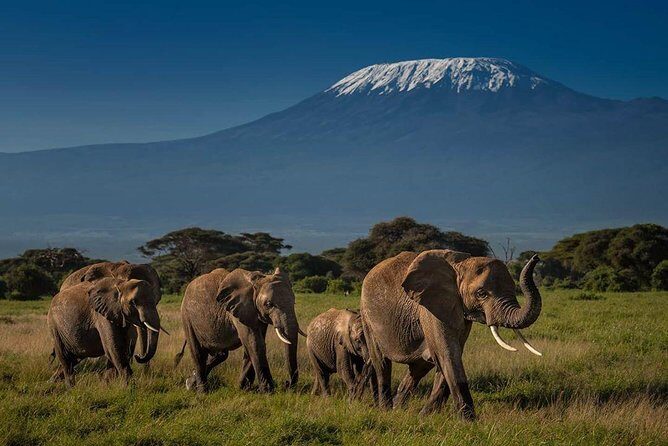 Amboseli Cultural & Wildlife Tour - 4 Day Unforgettable Budget Safari - Practicalities: Transportation, Accommodation, and Food