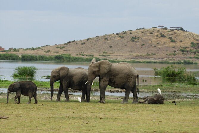 Amboseli day Escape: Private Tour - FAQ