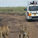 Amboseli Day Trip with Pickup - Why This Tour Represents Good Value