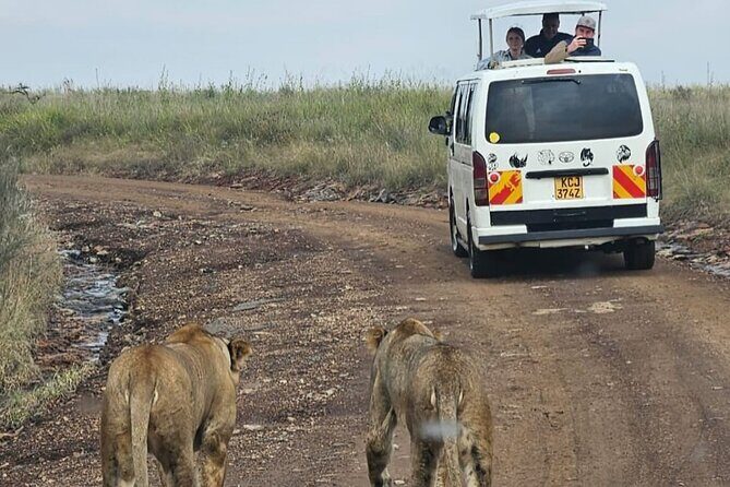 Amboseli Day Trip with Pickup - Why This Tour Represents Good Value