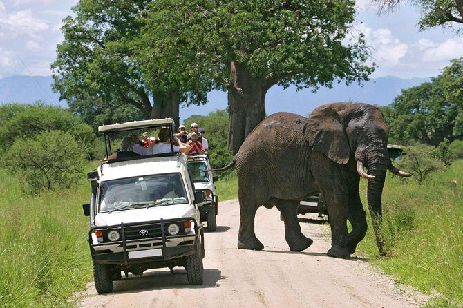 Amboseli National Park Full Day Guided Tour - What’s Included and What’s Not