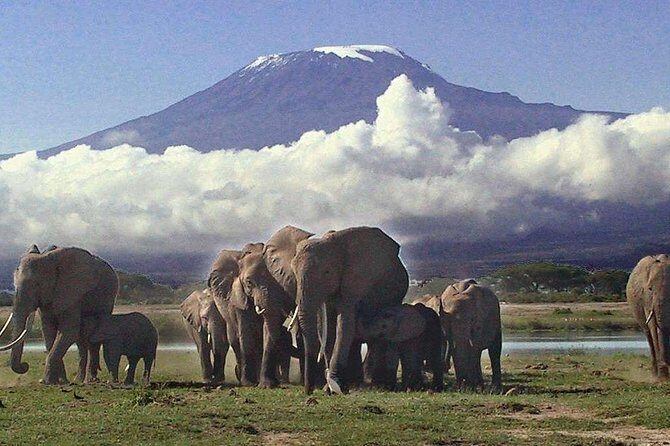 Amboseli National Park Guided Full Day Tour - Who Should Consider This Tour?