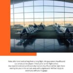 Amman Airport Private Transfers - What to Expect from the Amman Airport Private Transfer