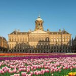 Amsterdam: City Highlights Tour with Canal Cruise - Visiting Giethoorn: The Venice of the North
