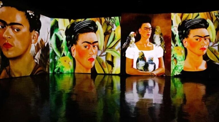 Amsterdam: Frida Kahlo Immersive & Photo Exhibition - What to Expect at the Frida Kahlo Immersive & Photo Exhibition