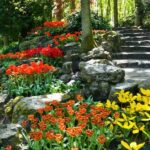 Amsterdam: Keukenhof Gardens Half Day Guided Tour - Practical Details: Transportation & Timing