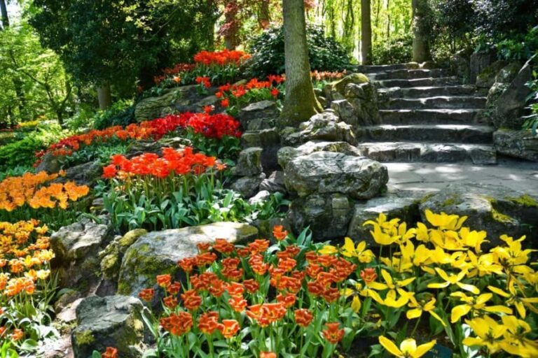 Amsterdam: Keukenhof Gardens Half Day Guided Tour - Practical Details: Transportation & Timing