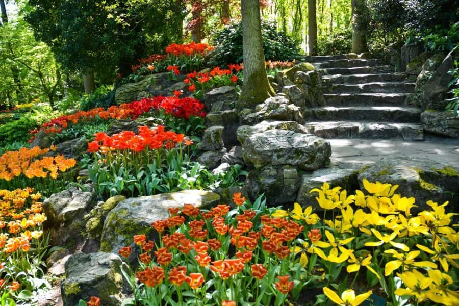 Amsterdam: Keukenhof Gardens Half Day Guided Tour - Practical Details: Transportation & Timing