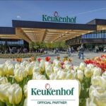 Amsterdam: Keukenhof Gardens & Tulip Fields Private Tour - Price and Value Analysis