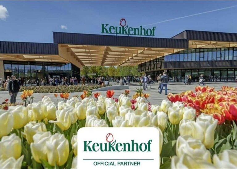 Amsterdam: Keukenhof Gardens & Tulip Fields Private Tour - Price and Value Analysis