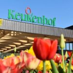 Amsterdam: Keukenhof Guided Tour and Flower Parade April 18 - Is the Tour Worth the Price?