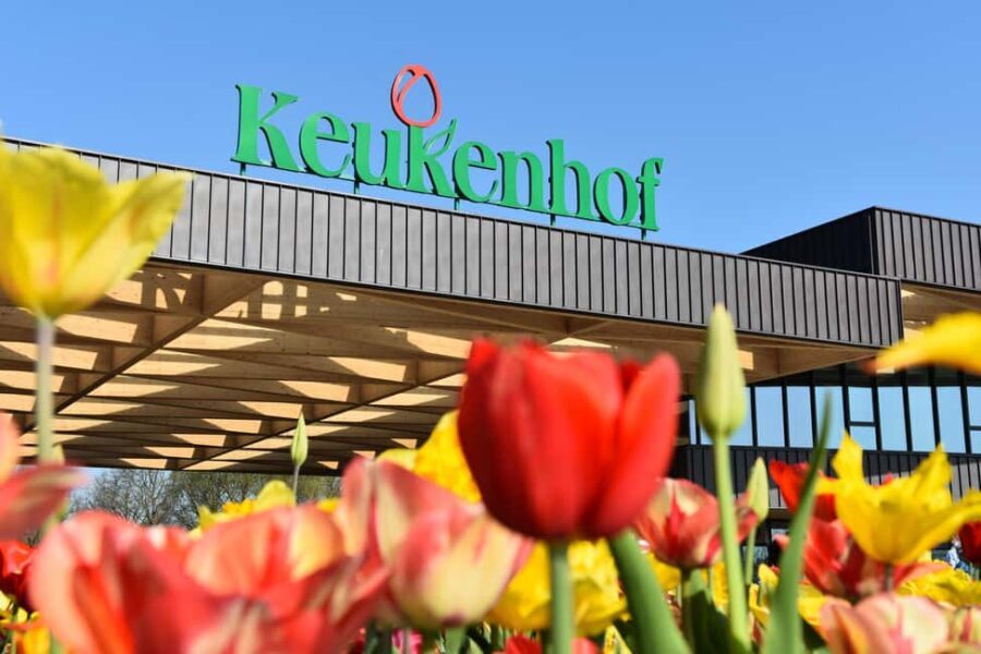 Amsterdam: Keukenhof Guided Tour and Flower Parade April 18 - Is the Tour Worth the Price?