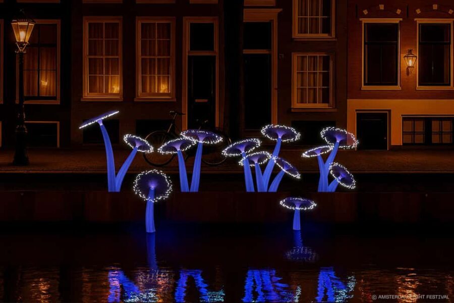 Amsterdam: Light Festival Open Boat Cruise - The Tour Experience: What to Expect