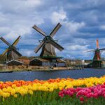 Amsterdam: Zaanse Schans, Cheese Tasting & Volendam Tour - Transportation and Group Dynamics
