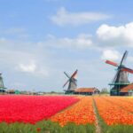 Amsterdam: Zaanse Schans, Windmills & Volendam Private Tour - Exploring Volendam: Picturesque Harbor and Local Flavors