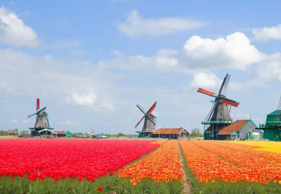 Amsterdam: Zaanse Schans, Windmills & Volendam Private Tour - Exploring Volendam: Picturesque Harbor and Local Flavors