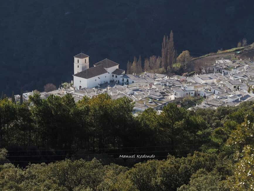 Andalusia Guided Tour with Local Guide - Deep Dive Into the Experience