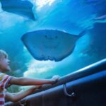 Antalya: Aquarium, Wax Museum, Snow World & Wild Park Ticket - Who Will Love This Tour?