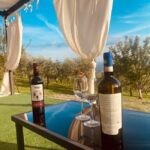 Aperitivo e degustazione di vini in vigna alla Cantina Sacco - Who Should Consider This Tour?