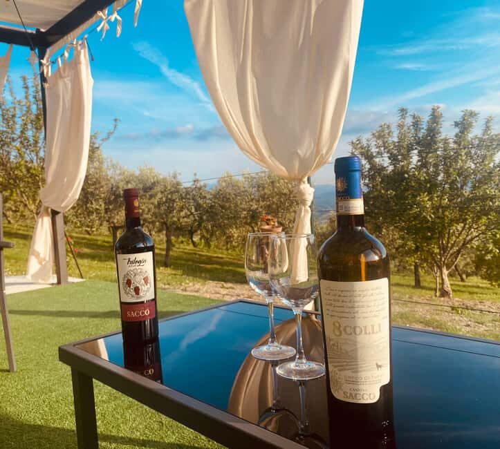 Aperitivo e degustazione di vini in vigna alla Cantina Sacco - Who Should Consider This Tour?