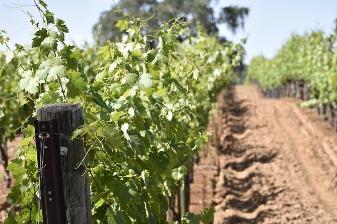 Apple Hill Wine Tasting Tours And Placerville wine tasting tours - Itinerary Breakdown & Winery Selection