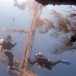 Aqaba Private Scuba Diving Activity with Pick Up - What You Need to Know Before Booking