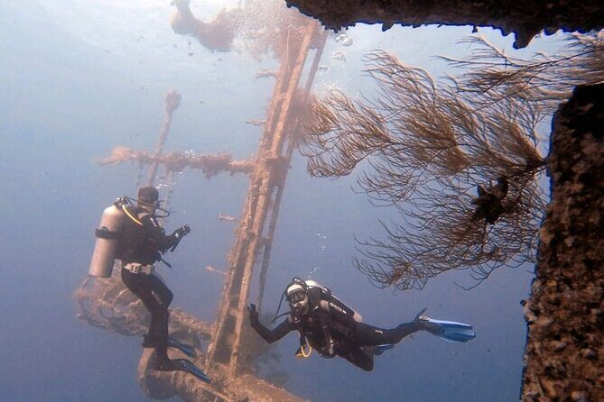 Aqaba Private Scuba Diving Activity with Pick Up - What You Need to Know Before Booking