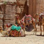 Aqaba Shore Excursion: Private Petra Sightseeing Tour with Lunch - Transportation and Comfort