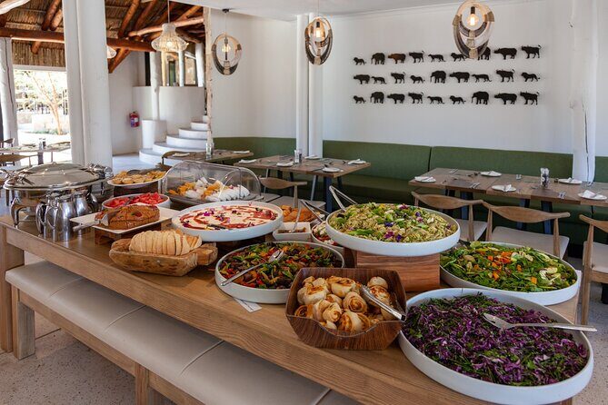 Aquila Game Reserve Safari with wine tasting, Transport & Lunch - Final Verdict: Who is This Tour Best For?